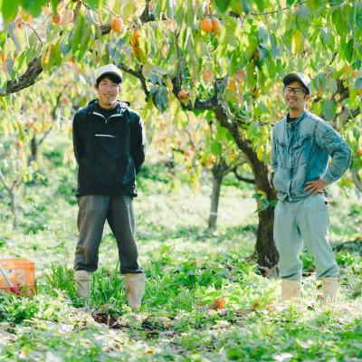 ふるさと納税 松江市 【秀品】とろ〜り甘さの極み!柿の里の西条柿 6玉 島根県松江市【マルカミ農縁株式会社】 |  | 03