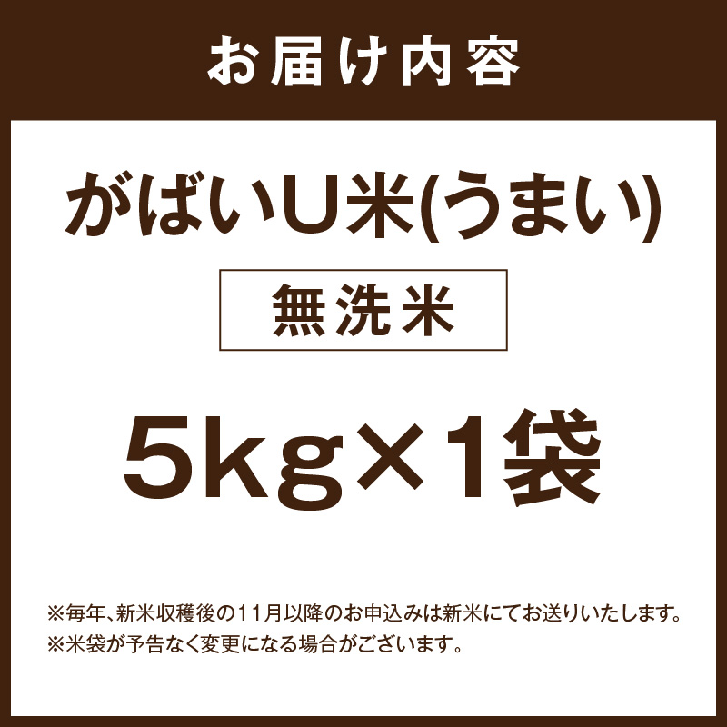 伊万里産 がばいＵ米(うまい) ブレンド米 【無洗米】5kg お米マイスター厳選 086-B949