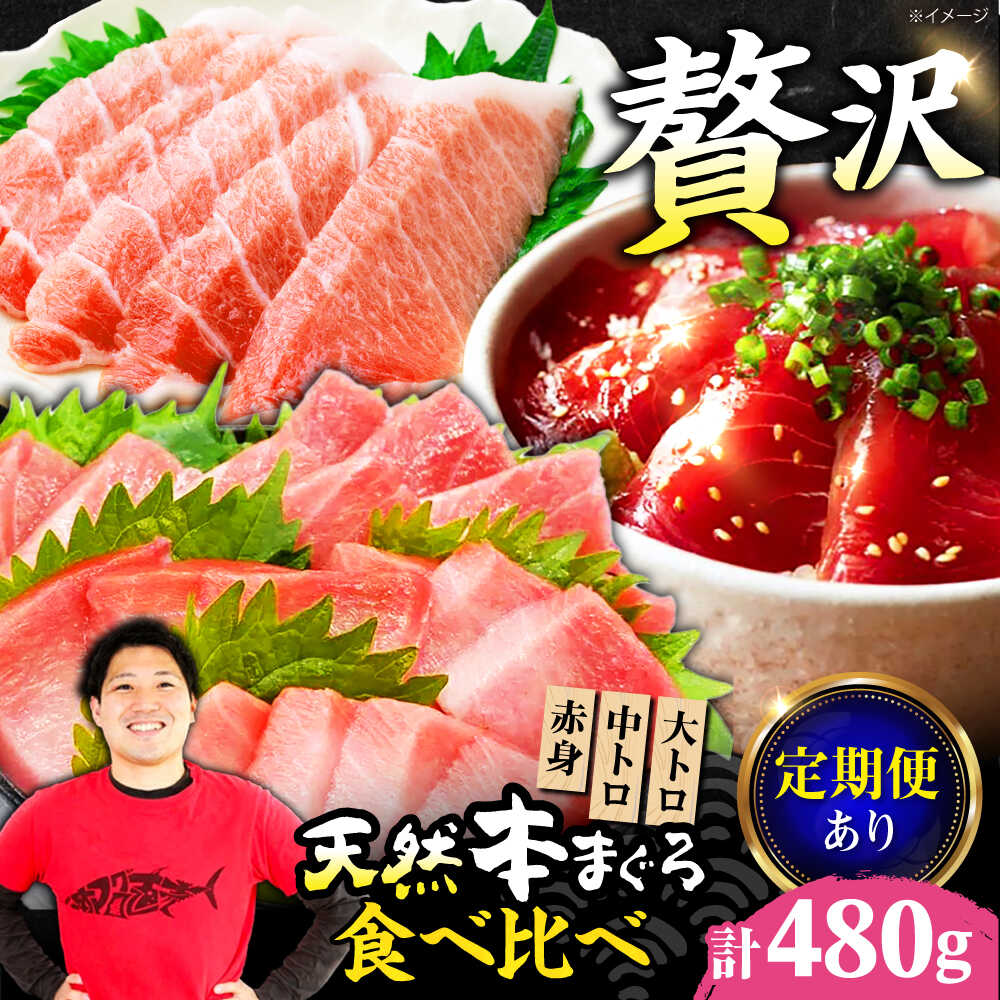 【ふるさと納税】【選べる定期便】極上！たね熟天然本まぐろ赤身＆中トロ＆大トロセット(各160g 計480g) 天然 マグロ 鮪 まぐろ トロ 赤身 刺身 魚 魚介 ギフト 贈り物 贈答 プレゼント 人気 おすすめ 送料無料 大阪 ふるさと納税 大阪府高槻市/本まぐろ直売所[AOCE012]