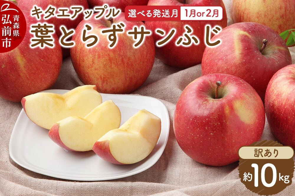 
                  【寄附金額見直しました】りんご【選べる発送月】葉取らずサンふじ［訳あり］約10kg【26年1月／2月発送】 キタエアップル
                