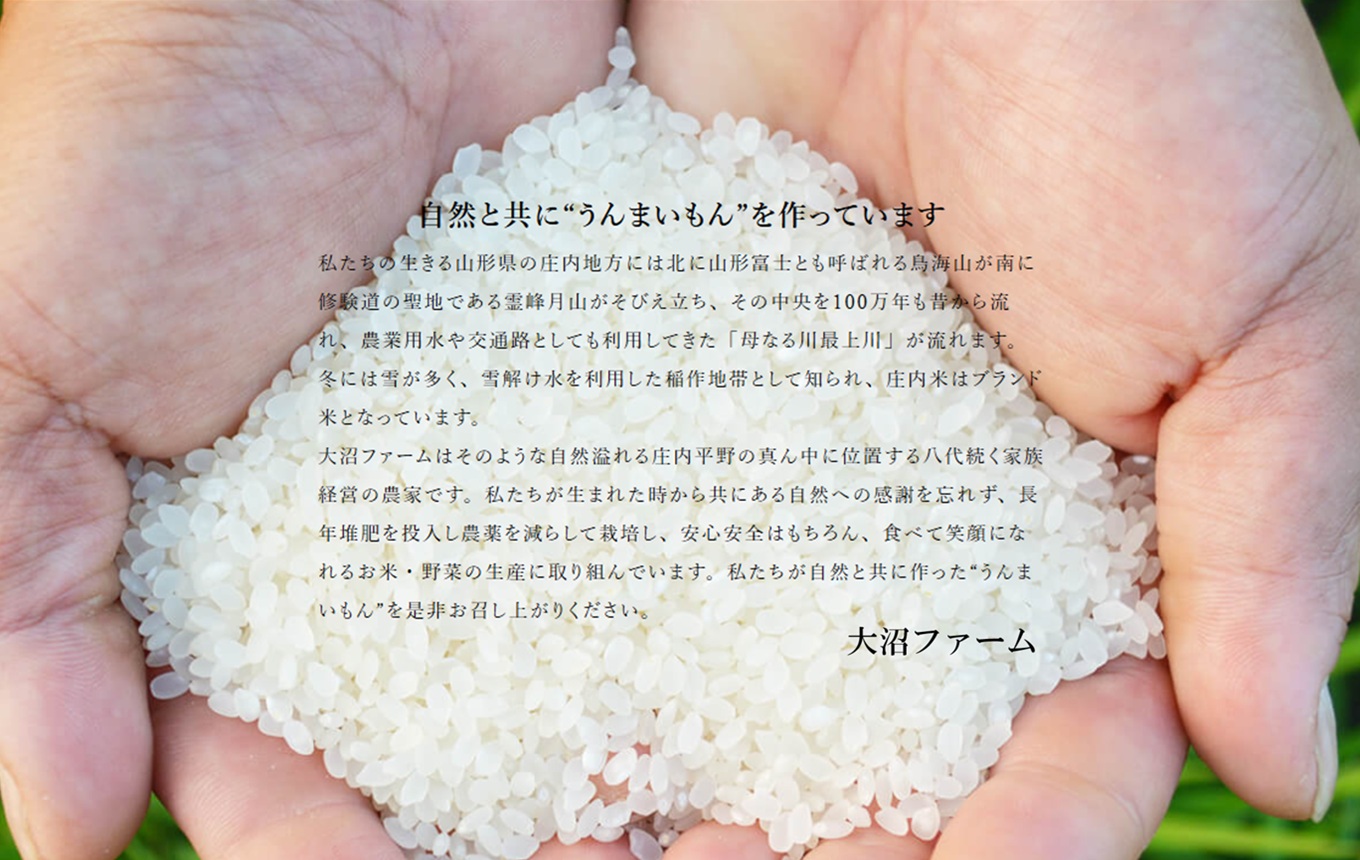 【令和8年産・精米】大沼ファームの特別栽培米コシヒカリ10kg　※10月中旬頃から順次配送予定 [PO2-003(大沼ファーム)] 【令和8年産】コシヒカリ10kg　￥24,500