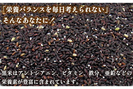 壱岐島の古代米 黒米 2kg (1kg入り × 2袋)[JDB125]
