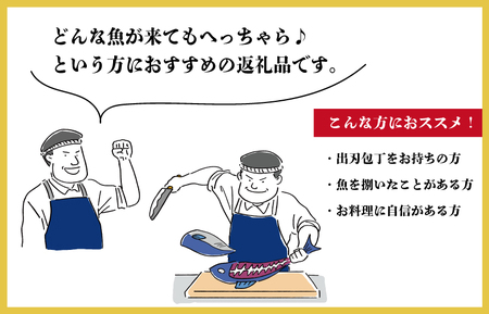 I52 伊勢湾直送!!なにが届くかな！？明和の海産ガチャ！2人前