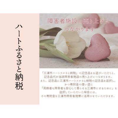 ふるさと納税 三浦市 三浦創生舎のいちばん餃子(ハートフルさと納税) |  | 03