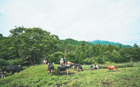 No.580 ホエイのきもち6本セット（プレーン・ゴールデンカボス・ブルーベリー）