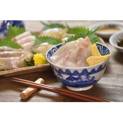 ふるさと納税 佐世保市 九十九島海鮮紀行(お刺身・海鮮丼)