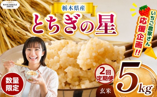 【栃木県共通返礼品】【先行予約】【定期2回】訳あり 数量 限定 定期便 令和8年度産 とちぎの星 約 5kg | とちぎの星 ミルキークイーン こしひかり 玄米 白米 ごはん おいしい お米 kome okome ご飯 お米 米 日本米 ふるさと納税 栃木県 那珂川町 送料無料