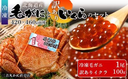 毛ガニ 冷凍 1尾 (420-460g前後)・ 訳あり イクラ 100g セット AS169