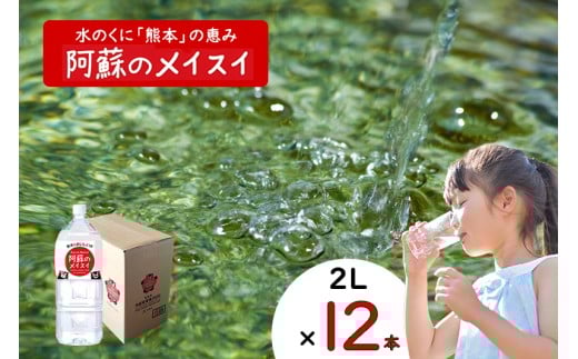 【ふるくま】水 熊本 阿蘇 阿蘇のメイスイ 天然水 2L × 12本 2ケース 24L  水 みず 飲料 くまモンラベル 熊本県 ミネラルウォーター 非加熱殺菌 賞味期限2年 730日 備蓄 保存用