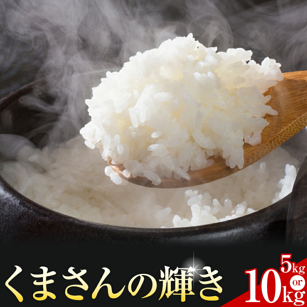 【ふるさと納税】 米 くまさんの輝き 白米 5kg 10kg 鶴地区龍の里ふるさと会《10月上旬-11月上旬頃出荷》熊本県 天草 苓北町 鶴 地区 龍 の里 国産 九州 熊本 名水 百選 5キロ 送料無料