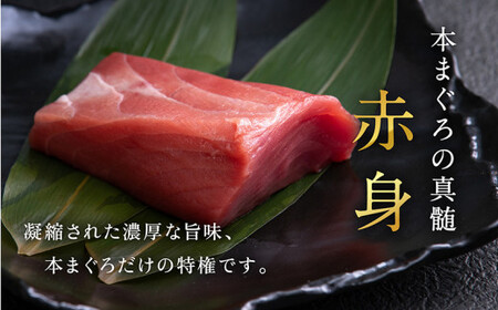 【定期便2回】冷蔵でお届け！大満足！生本マグロ 赤身（柵どり） 750g × 2回お届け （毎月お届け）