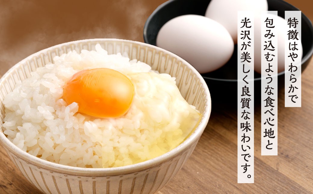 【令和7年度 新米 先行予約】 精米 食味鑑定士厳選 【6ヶ月定期便】 夢つくし 20kg×6回 計120kg