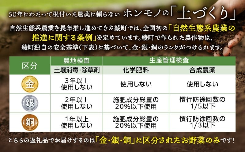 【全４回定期便】春夏秋冬 季節のお野菜セット（サイズ小）