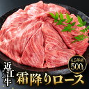 【ふるさと納税】 近江牛ローススライス 500gブランド牛 近江牛 牛肉 高級 人気 国産 楽天 寄付 返礼品 お歳暮 ギフト プレゼント お祝い 贈り物 ふるさと納税 近江 東近江 C-D21 佐乃屋精肉店