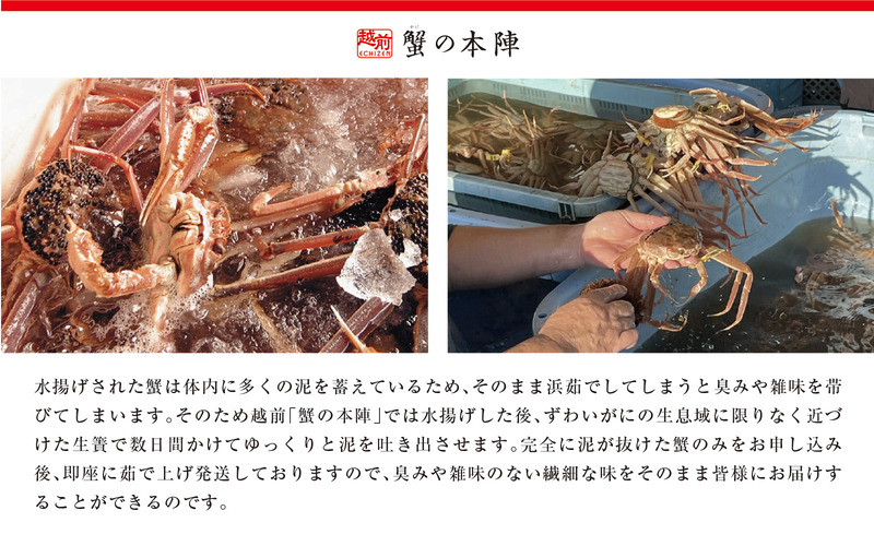 【わけあり】冬の日本海の味 浜茹で【越前がに 1.0kg前後】11月～翌3月順次発送 [e56-x013]