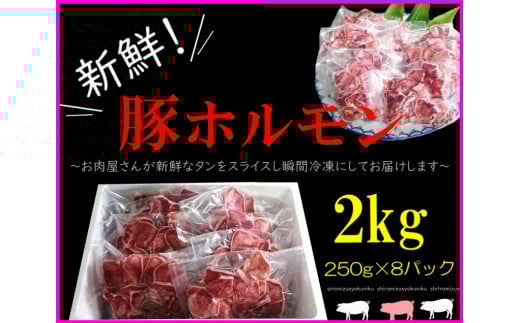 N-170 豚ホルモン（タン）２５０ｇ×８パック お肉 肉 ぶた肉 ブタ肉 豚肉 タン 豚タン 250g × 8パック 小分け スライス 冷凍 新鮮 太良町 佐賀 