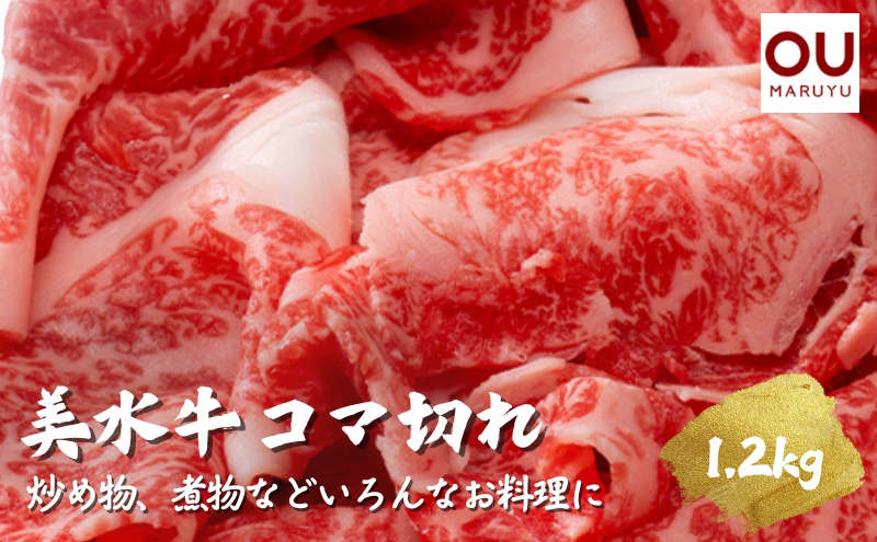 
美水牛コマ切れ１２００ｇ（４００ｇ×３）　（冷凍品） ギフト 肉 お祝い [№5337-0078]
