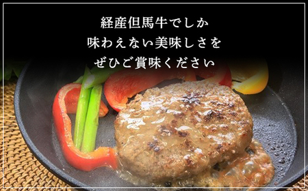 経産但馬牛ハンバーグ150g×10個 AS2CA13