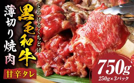 とろける黒毛和牛リッチな薄切り焼肉750g(250g×3P)　秘伝のタレ漬け_mk146-019