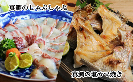 真鯛 4種 セット 小分け パック 真鯛 