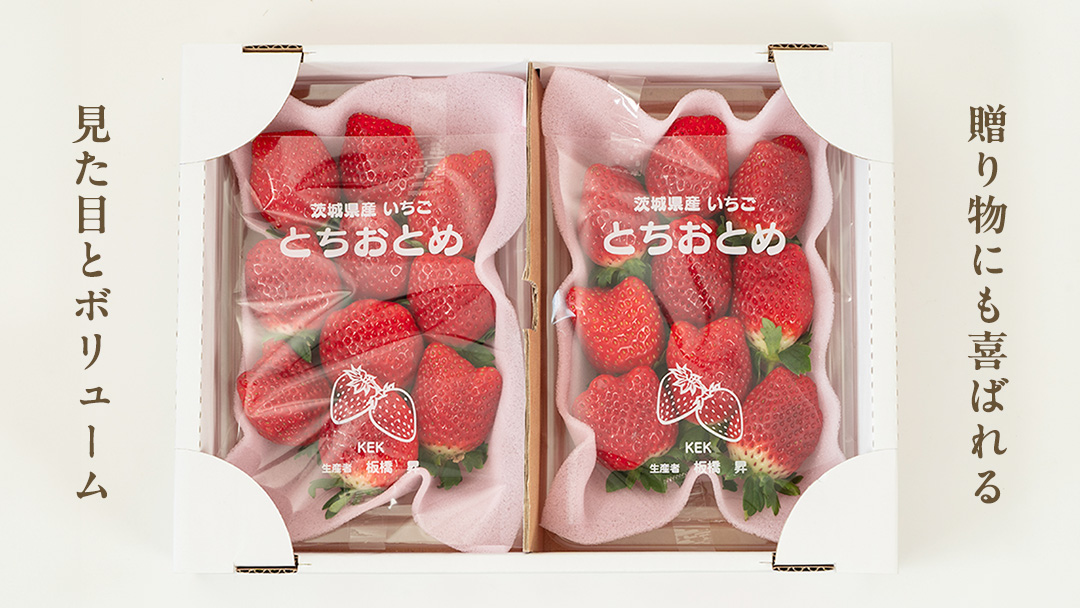 【 2026年1月上旬発送開始 】完熟 とちおとめ 260g×4パック 国産 いちご イチゴ 苺 果物 フルーツ [BC006sa]