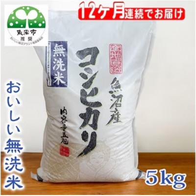 ふるさと納税 魚沼市 【毎月定期便】お米マイスター厳選 魚沼産コシヒカリ(無洗米)5kg全12回