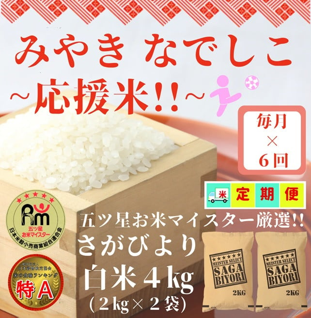 
CI731【みやきなでしこ】応援米【６回定期便】さがびより白米４kg（２kg×２袋）精米　佐賀県産 女子サッカー応援
