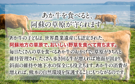 くまもとあか牛 すき焼き用 400g 長洲501《60日以内に出荷予定(土日祝除く)》熊本県 長洲町 すき焼き すきやき 牛肉 肉 あか牛 赤牛
