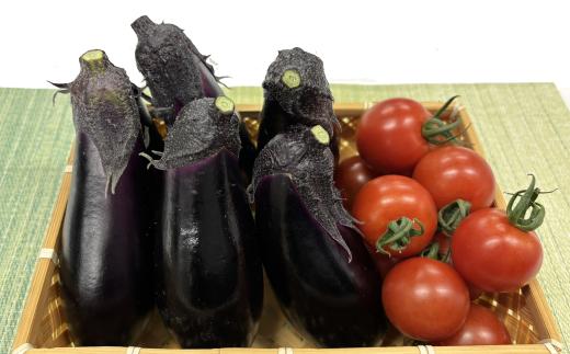 安田町の野菜 ナス トマト 少量セット 定期便 2回 定期便 野菜 トマト 150g×2袋 300g なす5本 野菜定期便 一人暮らし 晩ごはん 少量 使い切り 新鮮 国産 茄子 やさい 高知県 安田