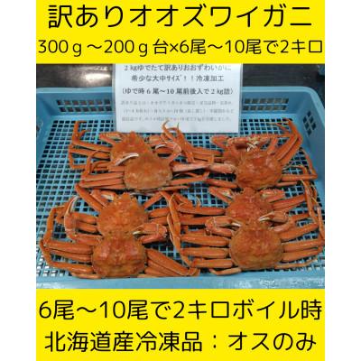 ふるさと納税 白老町 大中サイズ訳ありおおずわい　6尾〜10尾入で2kg　冷凍便