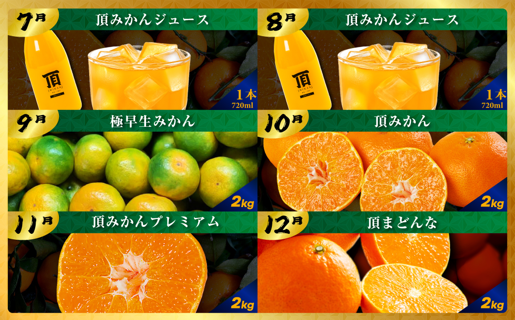 【発送月固定定期便】毎月届く!みかんのカレンダー便　～12ヶ月の旬を旅する～【H31-62】全12回 YWTAC051