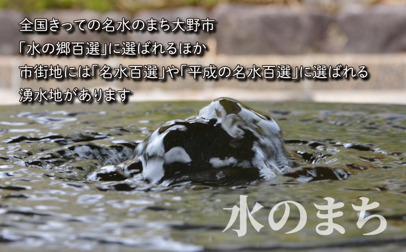 
【先行予約】【令和6年産 新米】こしひかり（福井県大野市産）エコファーマー米（白米）15kg（5kg×3袋）
