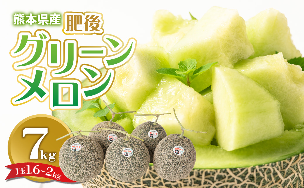 【先行予約】 熊本県産 肥後グリーンメロン 約7kg (1玉1.6～2kg) 果物 フルーツ メロン 【2025年6月上旬より順次発送】