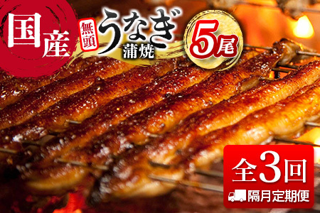 ＜隔月定期便＞国産 うなぎ 定期便 鰻楽 蒲焼 家庭用 5尾セット（11月,1月,3月お届け）全3回 数量限定 無頭 高評価 おすすめ 冷凍 簡単調理 個包装 鰻 魚介 贈答品 ギフト 贈り物【E252】