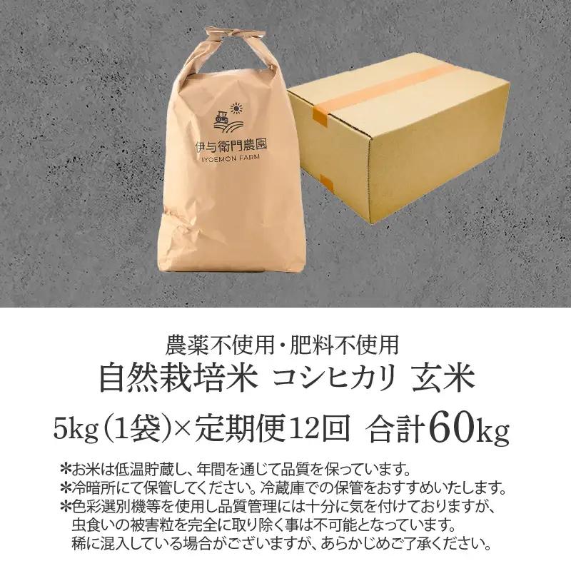 【先行予約】【令和8年産 新米】【定期便12回】伊与衛門農園の自然栽培コシヒカリ玄米 5kg×12回 伊与衛門農園の特別栽培米 ＜温度と湿度を常時管理し新鮮米を出荷！＞ / 米 自然の力 高品質 鮮度