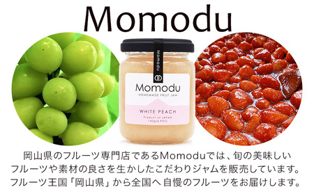 【2026年先行予約】ぶどう ニューピオーネ ご家庭用 約 1.8kg 3～5房《2026年8月上旬-9月中旬頃出荷》株式会社fruceed ぶどう 送料無料 岡山県 浅口市 ぶどう フルーツ 果物 
