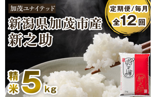 【令和8年産新米先行予約】【定期便12ヶ月毎月お届け】新潟県産 新之助 精米 5kg（5kg×1袋）《10月上旬から順次出荷》 新潟県産新之助 新潟産新之助 加茂市産新之助 新之助 しんのすけ 新潟 ブランド米 新之助 加茂市 加茂ユナイテッド