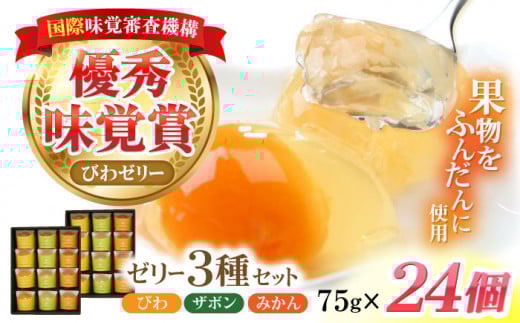 長崎旬彩12個入り×2セット / ゼリー みかん ミカン ザボン びわ 果汁 / 諫早市 / 有限会社あじさい [AHAH004]