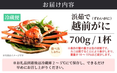 越前がに本場の越前町からお届け！ 越前がに 浜茹で 小サイズ（生で700g以上） × 1杯 【11月発送分】 食べ方しおり付き【かに カニ 蟹】【福井県 越前町 雄 ズワイガニ ボイル 冷蔵 越前ガニ