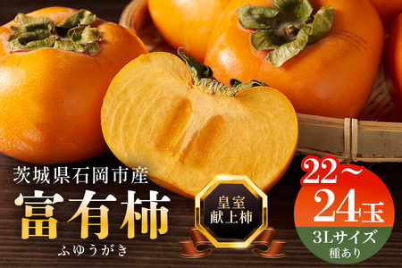 【2026年 先行予約】八郷柿出荷組合の 富有柿 3L（二段 22～24玉）柿 皇室献上柿 かき 富有カキ 果物 フルーツ くだもの カキ 富有かき 秋 旬 高級 糖度 贈答用 贈答品 ギフト 贈り物 品種 ブランド 11月 12月 発送 産地直送 農家直送 産直 茨城県 石岡市 (A21-001)
