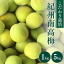 【ふるさと納税】 青梅 こだわり栽培の南高梅 1kg ※5月中旬～6月中旬頃に順次発送予定【期間限定・数量限定・2025/5/15まで】 / 紀州南高梅 南高梅 梅 お取り寄せ 和歌山県 田辺市