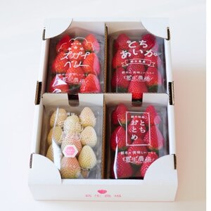 【春イチゴ】栃木いちご4種詰め合わせセット(260g×4パック)【配送不可地域：離島】【1663311】