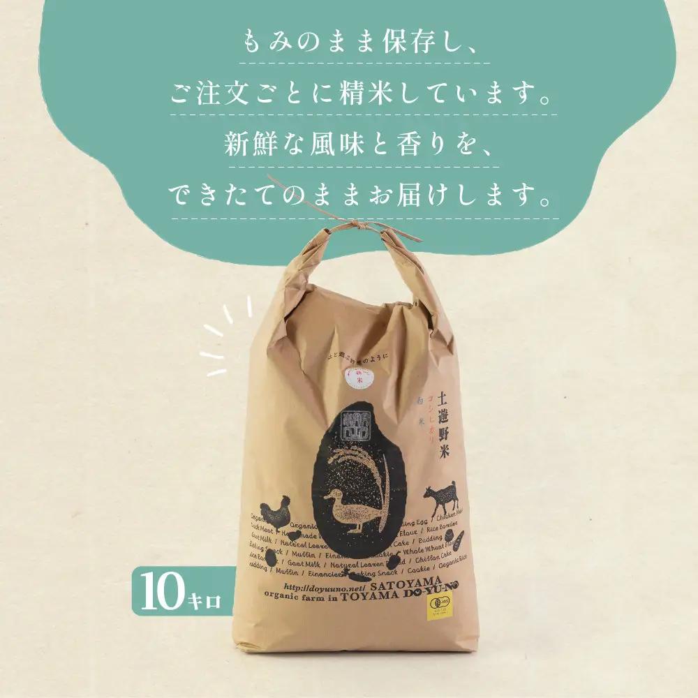 有機米 コシヒカリ 10kg　棚田-tanata-（有機JAS認証米） 米 白米 精米