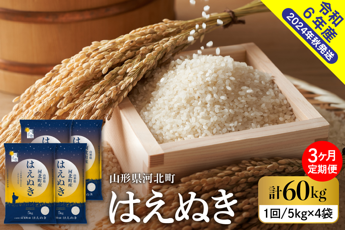 【令和6年産米】※2025年2月中旬スタート※ はえぬき60kg（20kg×3ヶ月）定期便 山形県産 【米COMEかほく協同組合】