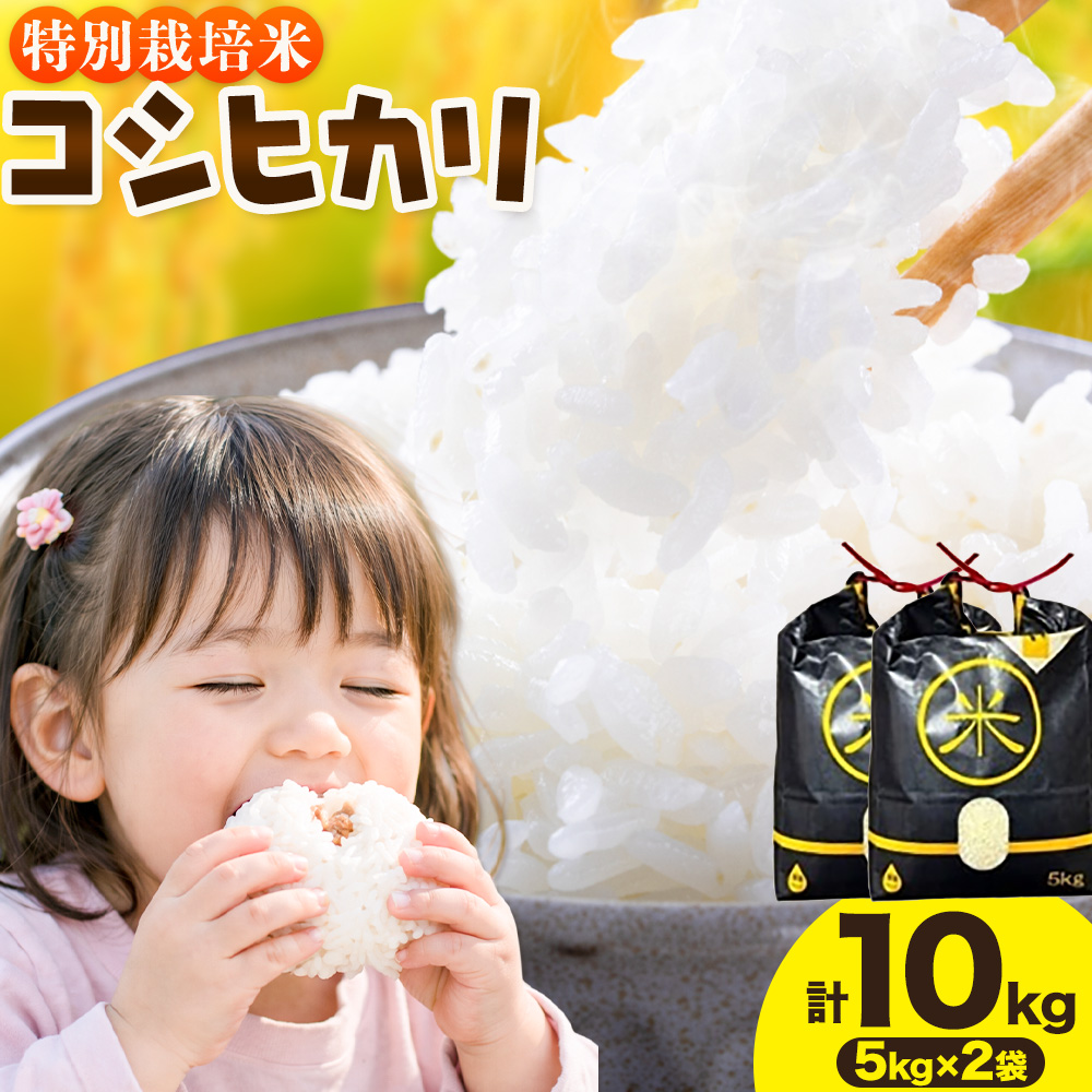 令和7年産 特別栽培米 白米 コシヒカリ 10kg(5kg×2) 米の半左エ門《30日以内に出荷予定(土日祝除く)》千葉県 我孫子市 こしひかり 精米 米 白米 ごはん お米 ライス ブランド米 ご飯