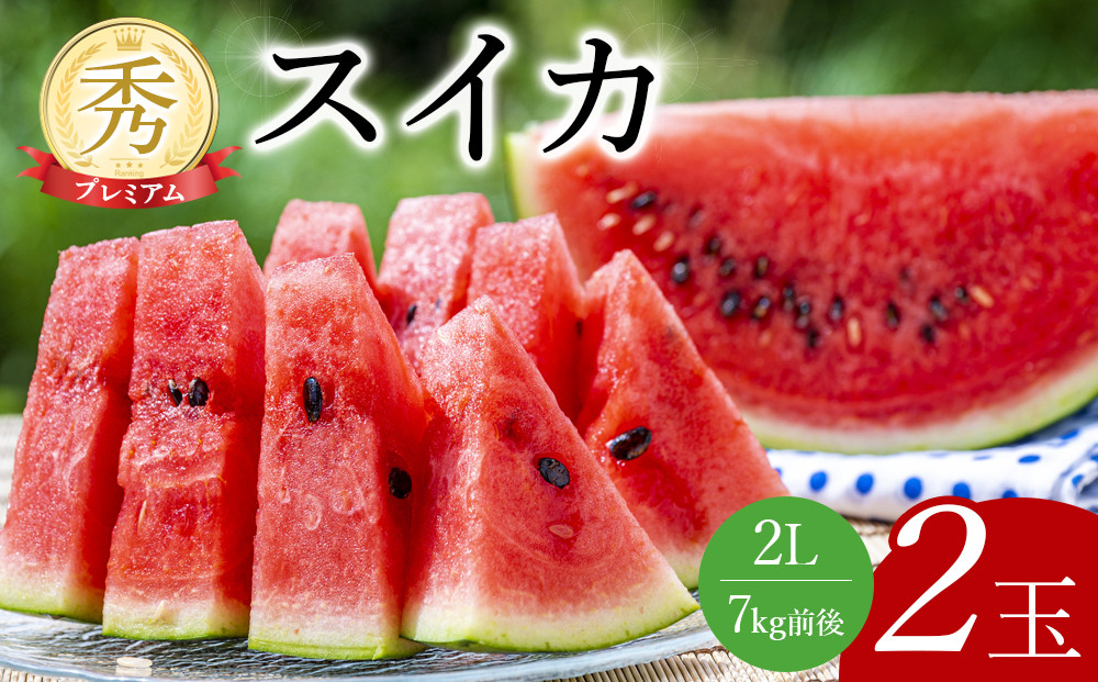 240.【先行予約】プレミアムスイカ　2L×2玉◇ ※5月下旬～8月上旬頃に順次発送予定 ※着日指定不可（こちらの返礼品は、大栄西瓜ではありません） 313726_AN036