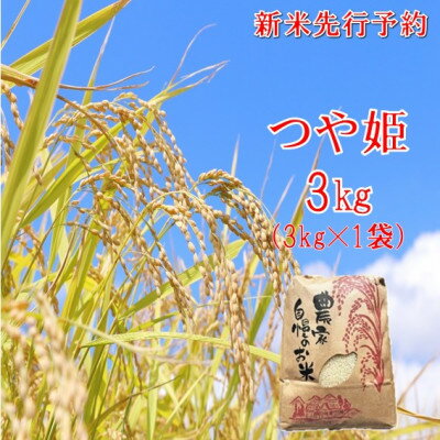【ふるさと納税】【令和8年産米 先行予約】つや姫 精米 3kg　佐藤【1746858】