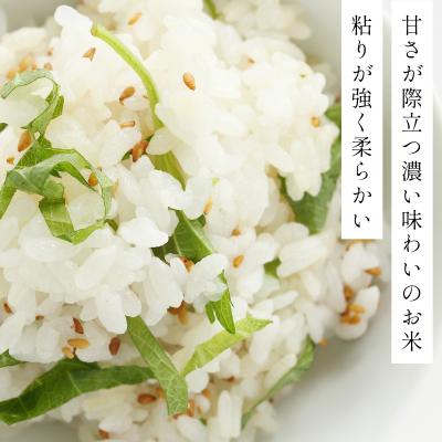 ふるさと納税 岩見沢市 令和7年産 ファーム坂口の特別栽培米 ゆめぴりか精米 15kg |  | 02