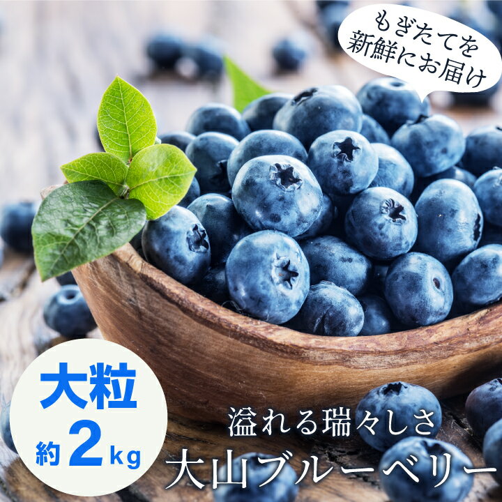 【ふるさと納税】MS-125　新鮮生ブルーベリー2kg（8月採れ） 限定 限定品 鳥取県 鳥取県産 大山町 大山 お土産 返礼品 国産 お取り寄せ ご当地
