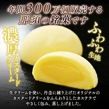 御用邸の月 10個入り 2箱 〔P-451〕 | お菓子 菓子 和菓子 個包装 ギフト 贈答用 プレゼント お取り寄せ スイーツ おやつ 人気 ランキング お土産 ご当地 銘菓 有名 那須町 カステラ